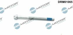 Dr. Motor Automotive Drm-drm01065