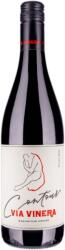 Contour Pinot Noir