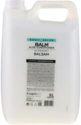 Stapiz Balsam de păr - Stapiz Professional Basic Salon Aloe Conditioner Balm 5000 ml
