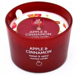 Pan Aroma Lumânare parfumată „Mere și scorțișoară - Pan Aroma Apple & Cinnamon Scented Candle 85 g