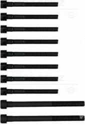 Victor Reinz Set surub, chiulasa VICTOR REINZ 14-55097-01 (14-55097-01)