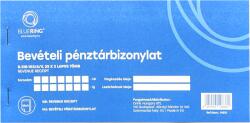 Bluering Bevételi pénztárbizonylat 25x3lapos B. 318-102/A/V Bluering® (NYOMTB318102A) - upgrade-pc