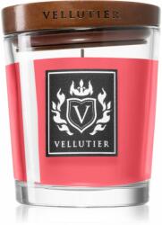 Vellutier Into The Wilderness 90 g