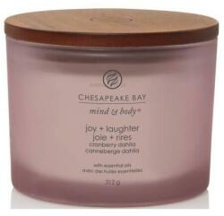 Chesapeake Bay Joy & Laughter 312 g