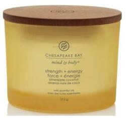 Chesapeake Bay Strength & Energy 312 g