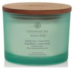 Chesapeake Bay Balance & Harmony 312 g