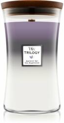 WoodWick Trilogy Amethyst Sky ароматна свещ с дървен фитил 609.5 гр