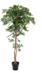 EUROPALMS Ficus longifolia mesterséges növény 165cm (82506350)