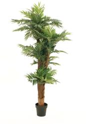 EUROPALMS Areca pálma mesterséges növény 170cm (82509408)