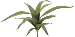 EUROPALMS Aloe (EVA) mesterséges zöld 66cm (82530571)