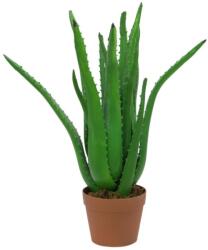 EUROPALMS Aloe Vera növény mesterséges növény 63cm (82809112)