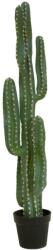 EUROPALMS mexikói kaktusz műnövény zöld 123cm (82801072)