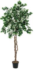 EUROPALMS Bougainvillea mesterséges növény fehér 150cm (82507085)