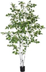 EUROPALMS Nyírfa műfenyő 210cm mesterséges növény 210cm (82505232)