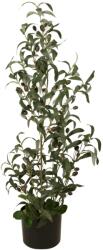 EUROPALMS Olajfa mesterséges növény 90 cm (82506422)
