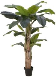 EUROPALMS Banánfa mesterséges növény 170cm (82509539)