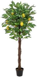EUROPALMS citromfa műnövény 150cm (82507815)
