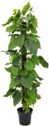 EUROPALMS Pothos növény mesterséges 180cm (82600227)