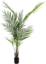 EUROPALMS Areca pálma nagy levelekkel mesterséges növény 165cm (82509441)