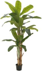 EUROPALMS Banánfa mesterséges növény 240cm (82509541)