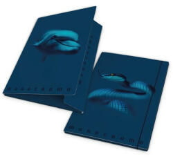 Pigna Gumis mappa karton Pigna Monocromo Blue A/4 (02326623L) - papir-bolt