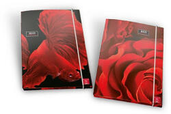 Pigna Gumis mappa Pigna Red Shiver A/4 (02303463L)