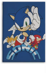 Aymax Sonic a sündisznó polár takaró blue 100x140cm (AYM071740)