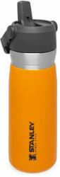 STANLEY Sticla Termos cu pai pliabil "The IceFlow" Stanley, 0.65l, Saffron ST10-09697-010