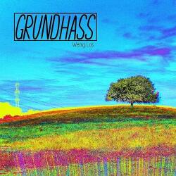 GRUNDHASS WENIG LOS