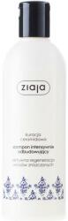 Ziaja Șampon regenerant - Ziaja Shampoo 300 ml