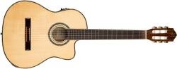 Ortega Guitars RCE141NT