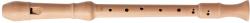 Schneider Primus - kytary - 485,00 RON