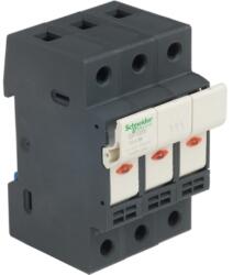 Schneider Electric Biztosítós szakaszoló sorolható 32A 3P 10x38mm-betét 690V 3M kalapsínre TeSys DF10 Schneider (DF103)