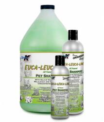 Double K Euca-Leuca-Lime șampon 236 ml