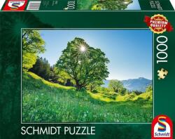 Schmidt Spiele 1000 db-os puzzle - Sycamore Maple in the Sunlight, St. Gallen, Switzerland (59761) (59761)