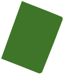 Exacompta Bemutatómappa Exacompta A/4 20 részes zöld (8523E) - papir-bolt