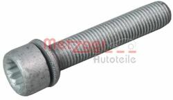 METZGER Surub, etrier METZGER 6250007S (6250007S) - automobilus