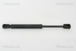TRISCAN Amortizor portbagaj TRISCAN 8710 50242 (8710 50242) - automobilus