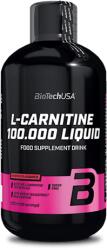 BioTechUSA L-Carnitine 100.000 [500 ml] (14004010200)