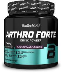 BioTechUSA Arthro Forte italpor [340 g] (18008010440)