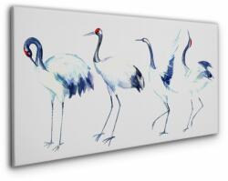  COLORAY. HU Vászonkép A madarak absztrakciója 100x50 cm
