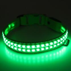 Reedog luminous USB svíticí obojek pro malé, střední a velké psy - zöld - M