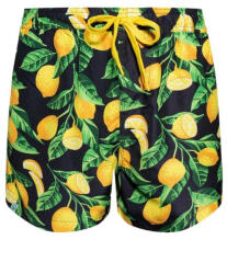 Dedoles Costume de baie pentru bărbați Dedoles Lemons (D-M-SCL-S-SSH-C-1213) XL (174052)