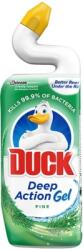 DUCK Dezinfectant toaleta Anitra Deep Action Gel Pine 750 ml Duck DUCKP (DUCKP)