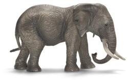 Schleich Schleich, Wild Life, Elefant african femela, figurina, 14761