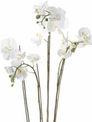 Emerald fehér mű-lepkeorchidea mohával 90 cm (414484)