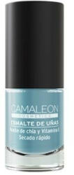 Camaleon Cosmetics Vegán ápoló körömlakk szürke (6ml)