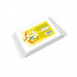 Wet Wipe Nedves tisztító és toalettkendő aloe vera kivonattal Silky 36 darabos, wc-be dobható (SNTT36)