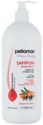 Pell Amar Sampon regenerant cu extract catina 250 ml