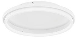 Nova Luce Willow LED NL-9212913 mennyezeti lámpa (9212913)